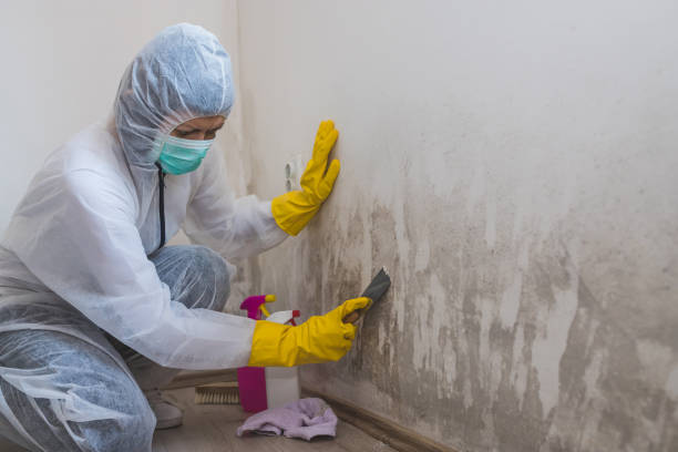 Water Damage Restoration in Ruidoso, NM